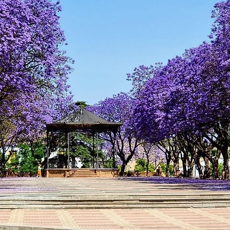 Alazan Jerez Iv-Parking Gratis-Wifi-Netflix Leilighet Jerez de la Frontera Eksteriør bilde