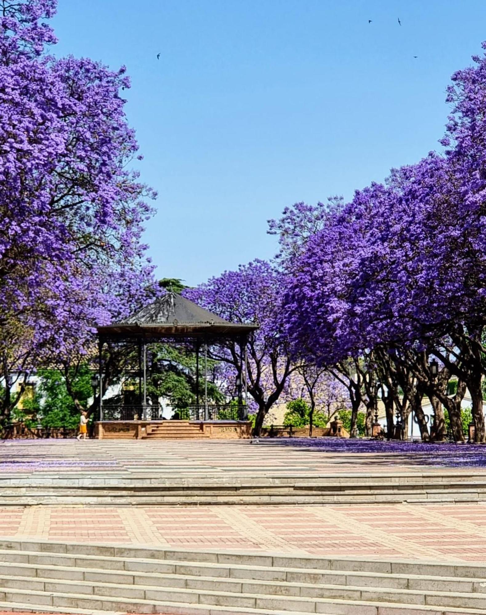 Alazan Jerez Iv-Parking Gratis-Wifi-Netflix Leilighet Jerez de la Frontera Eksteriør bilde