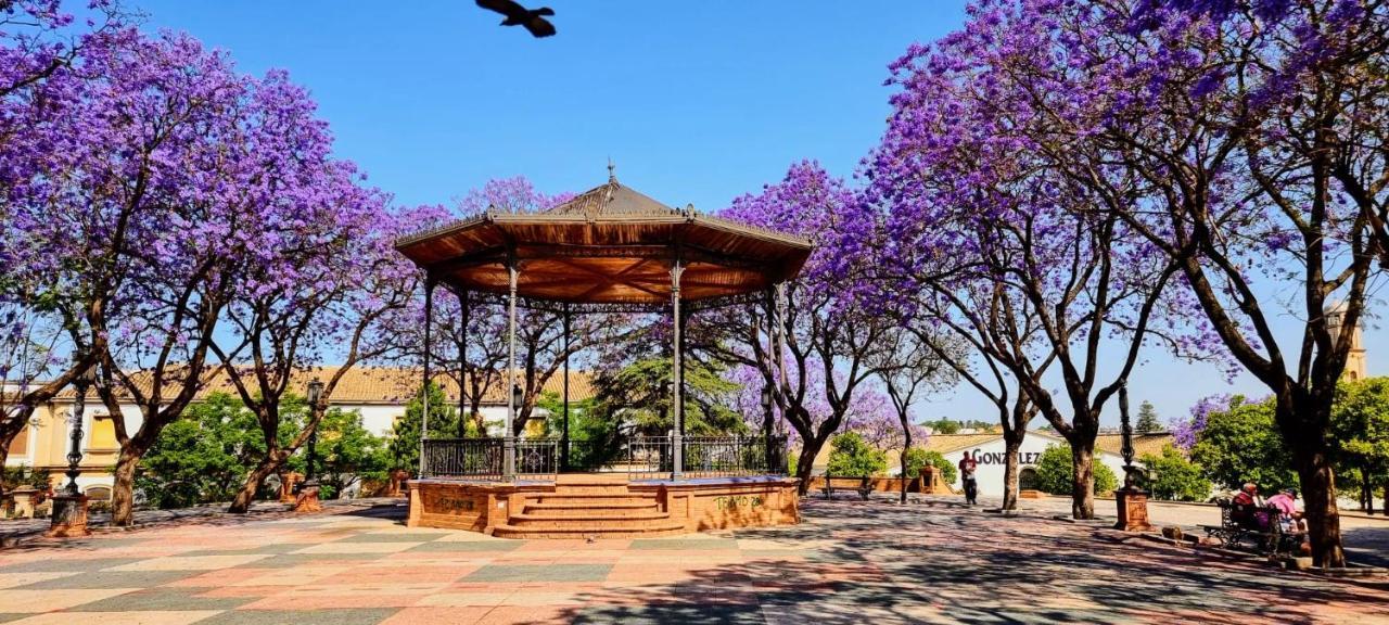 Alazan Jerez Iv-Parking Gratis-Wifi-Netflix Leilighet Jerez de la Frontera Eksteriør bilde